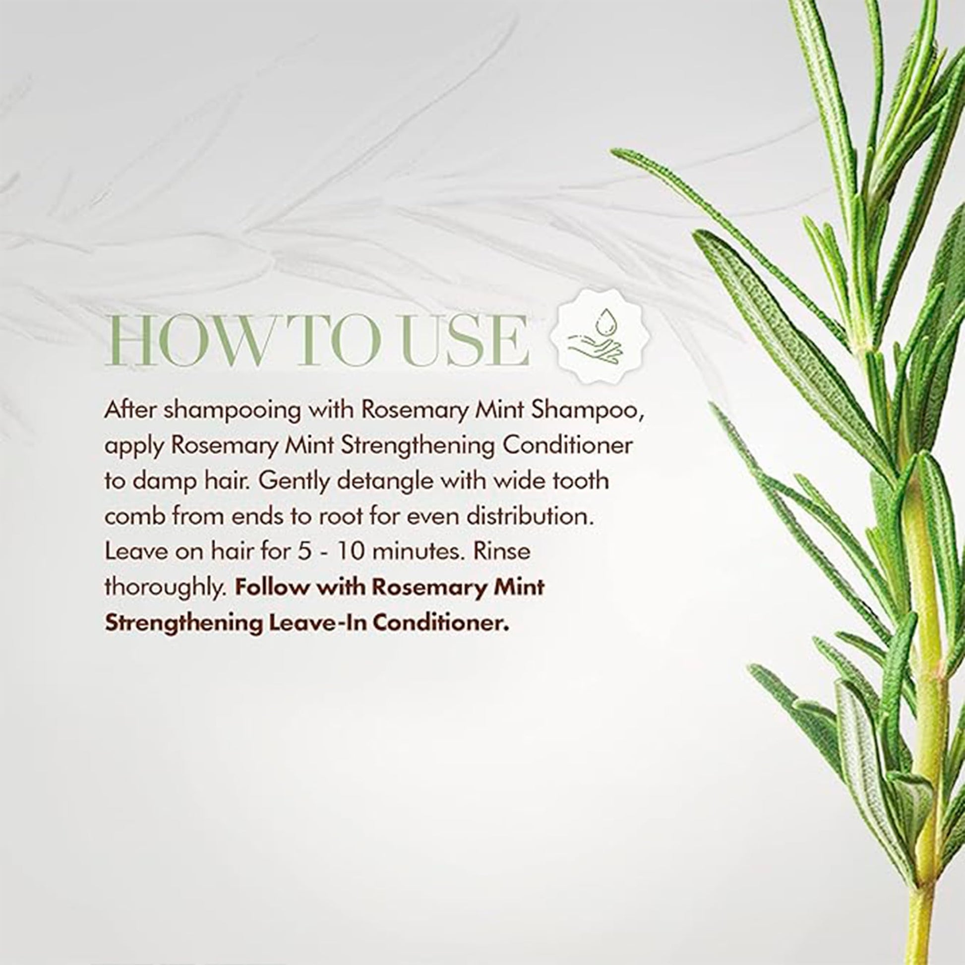 Mielle Organics Rosemary Mint Hair Masque-The Mainhair Shop