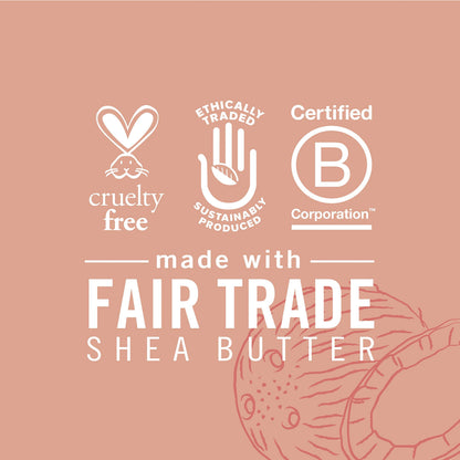 Shea Moisture Coconut & Hibiscus Kids 2 in 1 Shampoo and Conditioner + Detangler